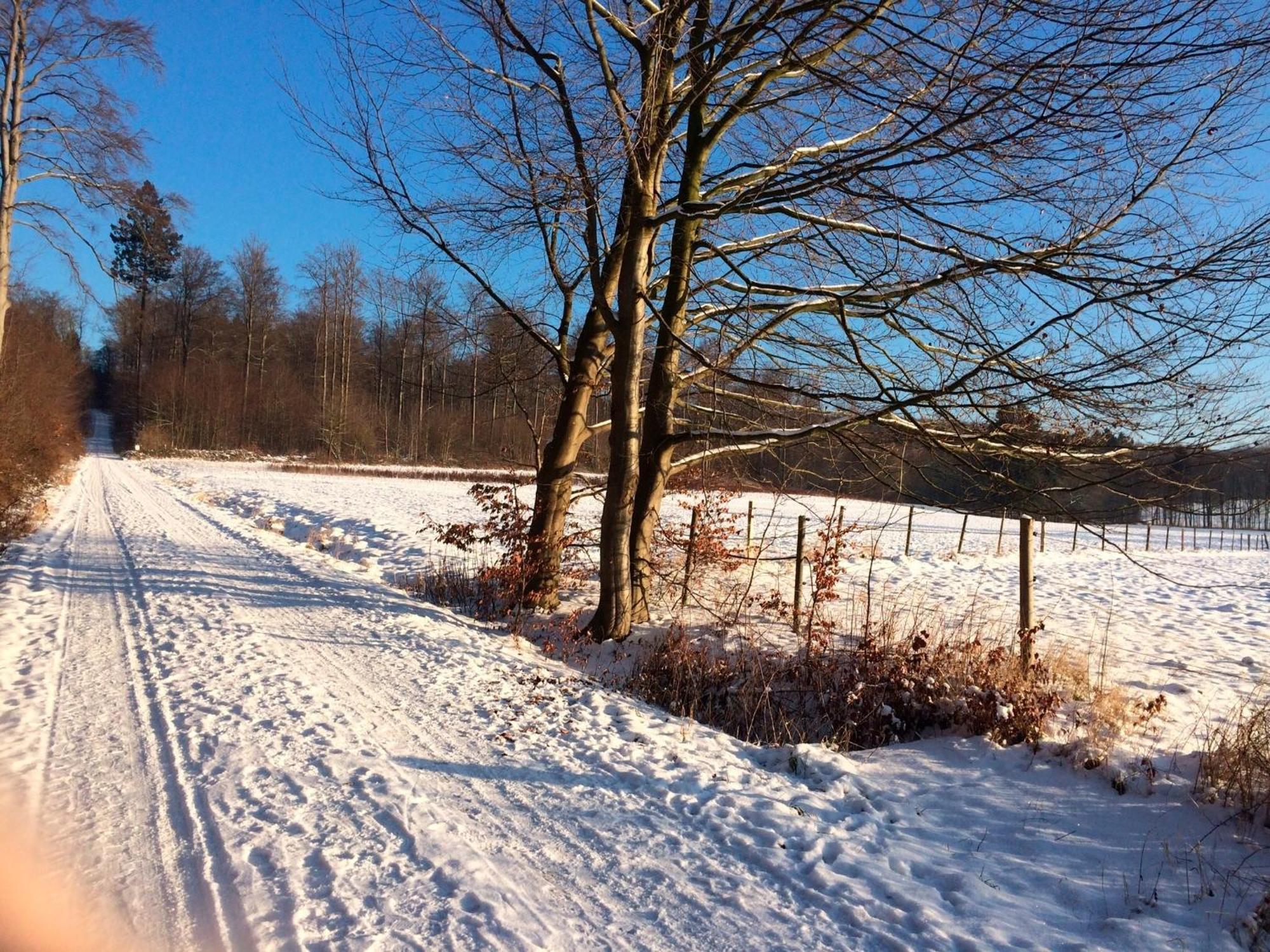 Am Harz